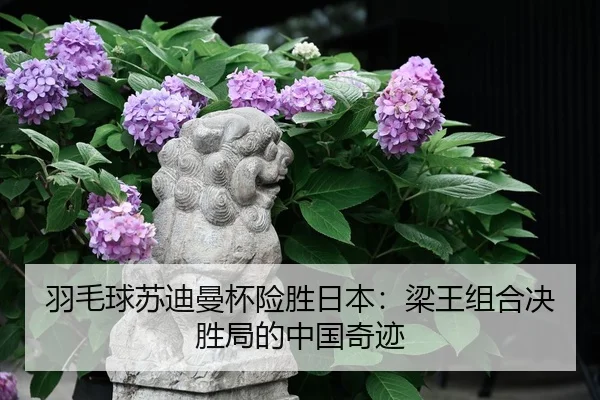 yu-mao-qiu-su-di-man-bei-xian-sheng-ri-ben-liang-wang-zu-he-jue-sheng-ju-de-zhong-guo-qi-ji-2-965.jpg