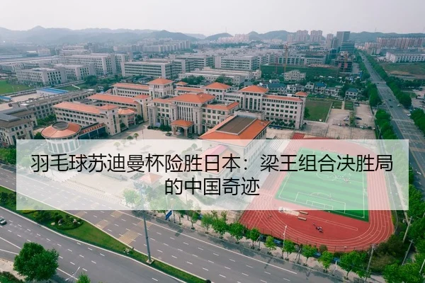 羽毛球苏迪曼杯险胜日本：梁王组合决胜局的中国奇迹